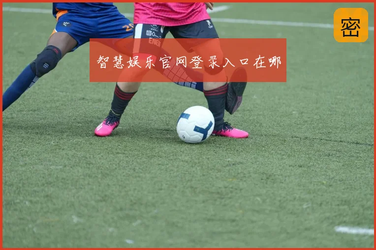 智慧娱乐官网登录入口在哪