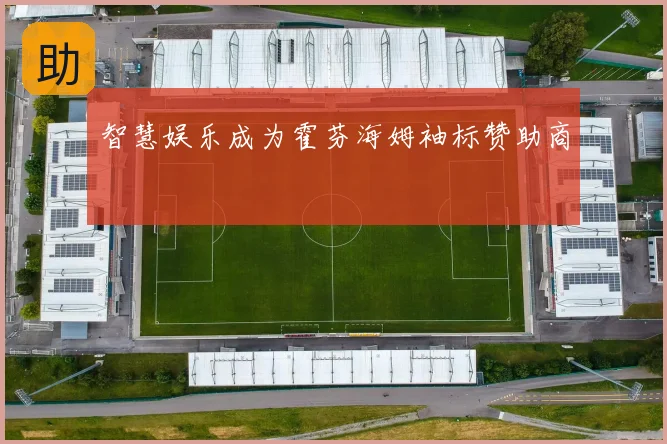 智慧娱乐成为霍芬海姆袖标赞助商